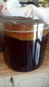 how to brew your own kombucha