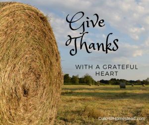 Simple Homestead Blog Hop #183 | Happy Thanksgiving!