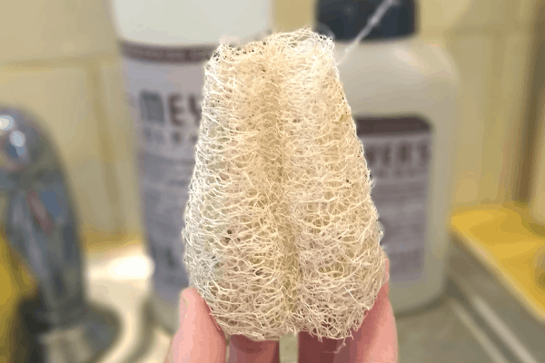 Luffa sponge uses