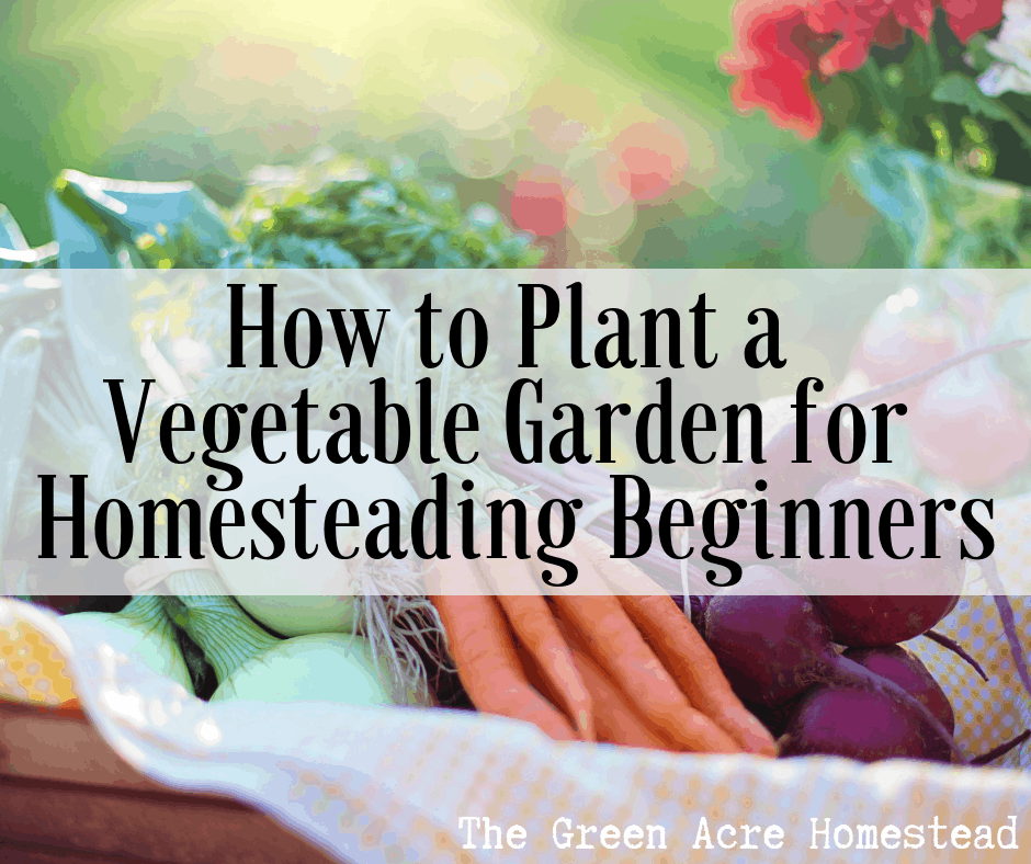 How to plant a vegetable garden | Grow Where You Sow