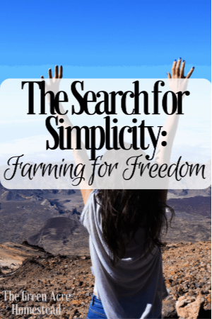 search for simplicity