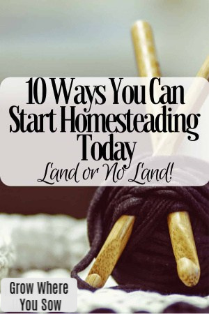 10 ways to start homesteading today