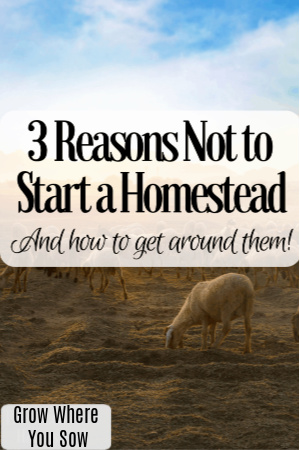 3 reasons not to start a homestead
