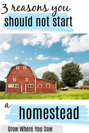 3 reasons you should not start a homestead