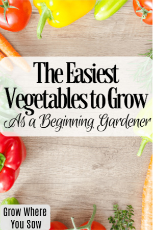 easiest vegetables to grow