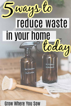 reduce waste in your home today