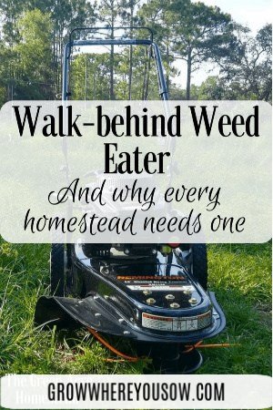 walk behind weed eater