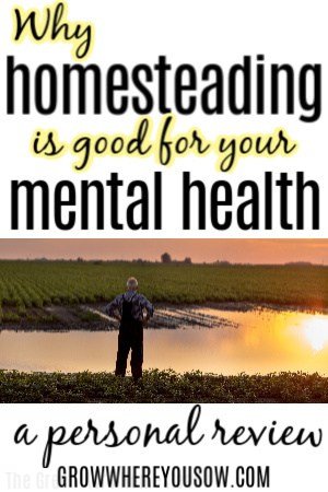 mental health and homesteading