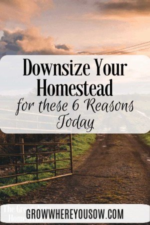 downsize your homestead