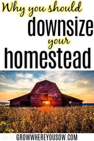 downsize your homestead
