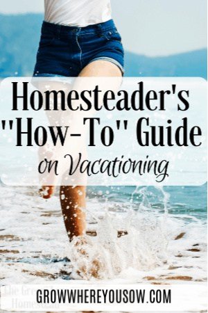how to guide to vacationing