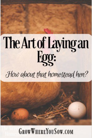 the art of laying an egg