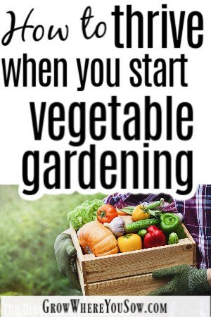 new to vegetables gardening