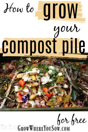 grow your compost pile for free