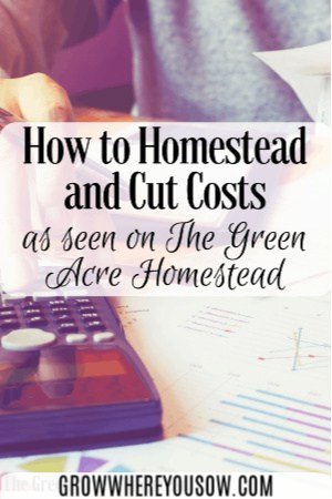 how to cut homestead costs