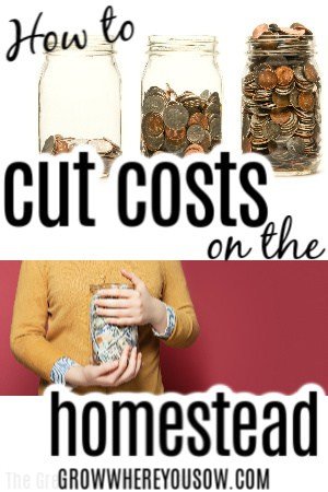 how to cut homestead costs