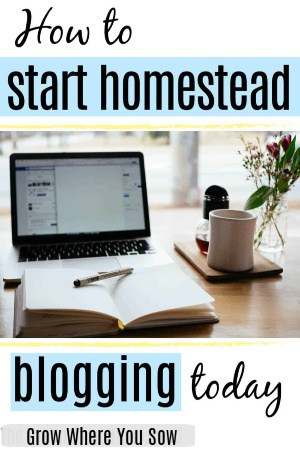 how to start homestead blogging
