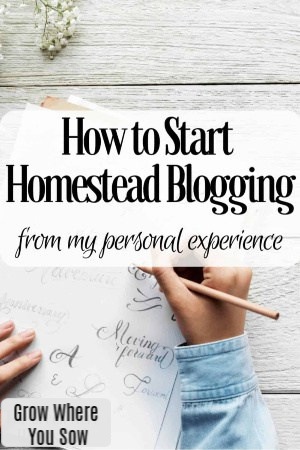 how to start homestead blogging