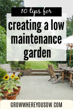 low maintenance garden