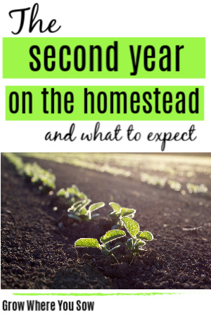 second year on the homestead