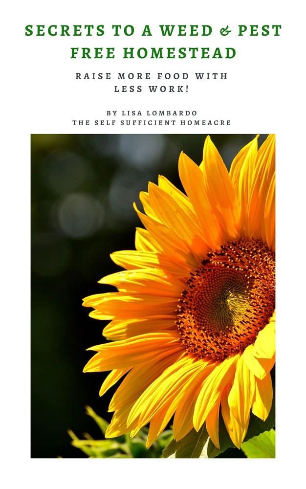The SelfSufficient HomeAcre giveaway prize