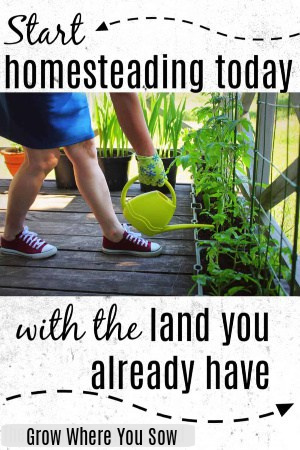 start homesteading today