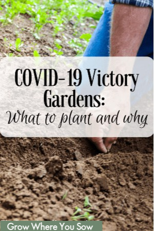victory gardens pinable image