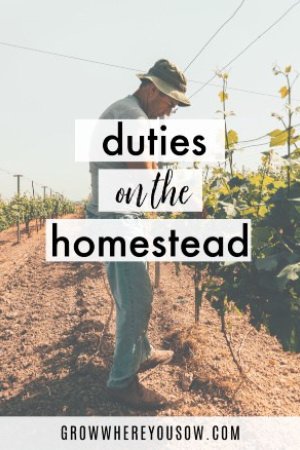 duties on the homestead