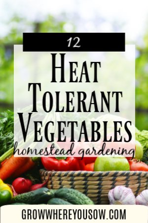 heat tolerant vegetables