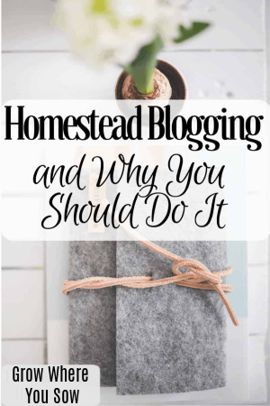 homestead blogging