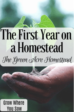 first year on a homestead