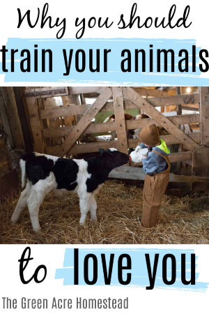 good reasons to train your animals