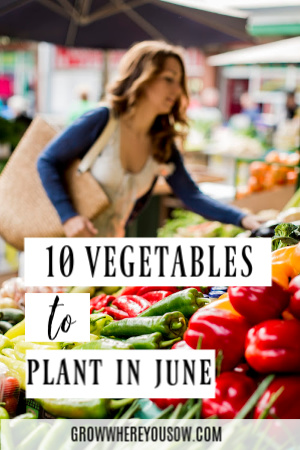 vegetables to plant in june
