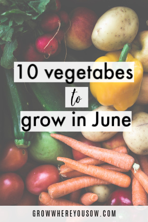 vegetables to plant in june