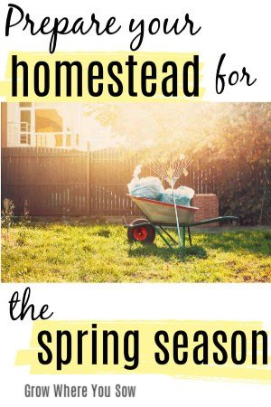 prepare your homestead for the spring season