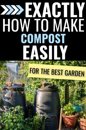 composting for beginners