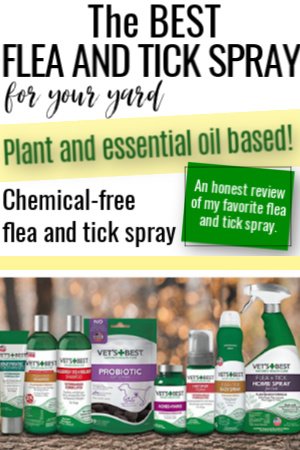 best flea and tick spray for your yard