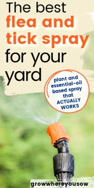 Best flea best sale spray for yard