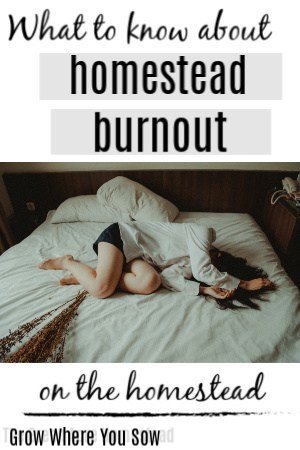 homestead burnout
