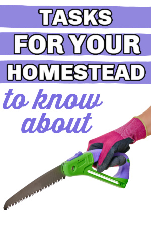 homesteading tasks