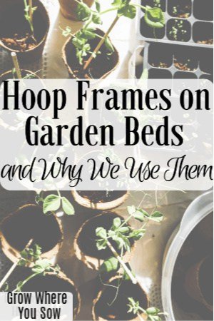 hoop frames