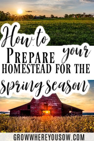 prepare your homestead for the spring season