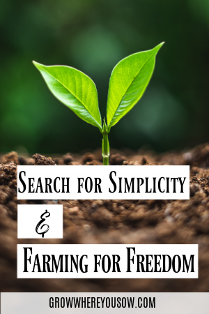search for simplicity