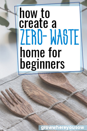 zero waste home for beginners
