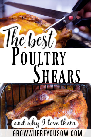 best poultry shears