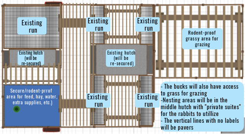 Meat hotsell rabbit hutch