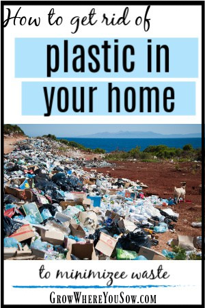 get rid of plastic in your home