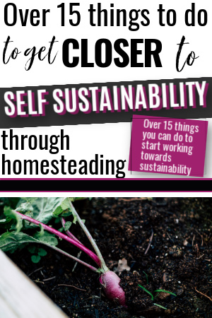 self sustainability through homesteading