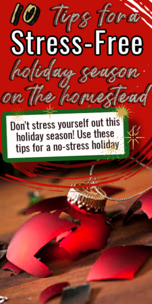 stress free holiday season