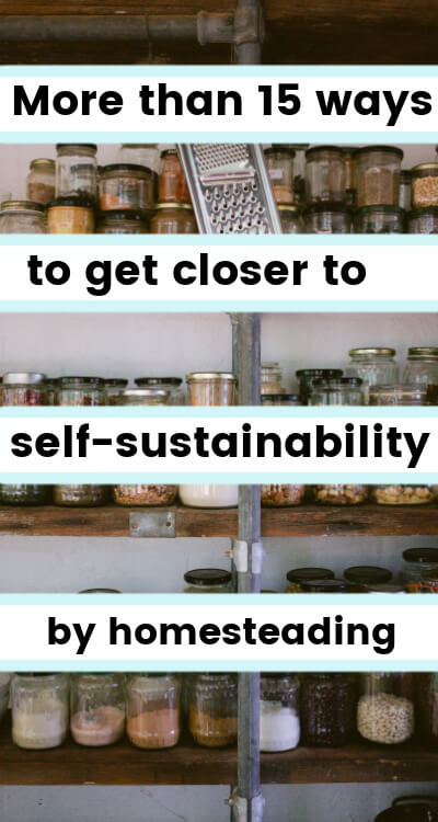 self sustainability through homesteading